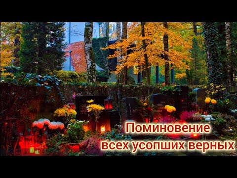 Видео: Проповедь Его Святейщества Папы Франциска на 2-ое ноября 