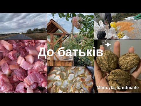 Видео: До батьків//Зерно//Свіжина//Двір//Домашні тварини//Горіхи @mam.yla_handmade4384