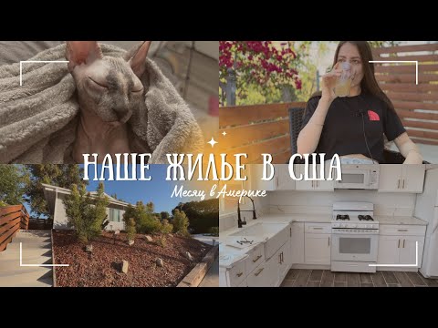 Видео: Живем в гараже за 2000$ | Итоги месяца жизни в США