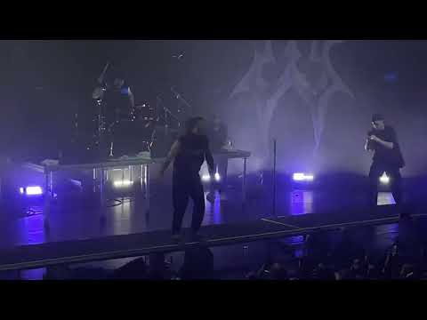 Видео: WILDWAYS — Лёд (06.04.25) / Санкт-Петербург