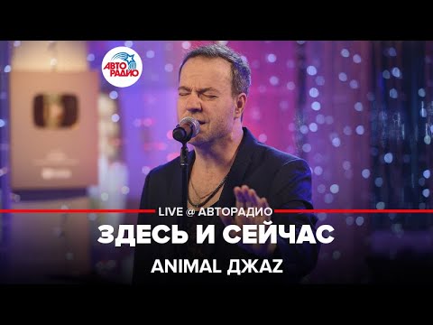 Видео: Animal ДжаZ - Здесь и Сейчас (LIVE @ Авторадио)