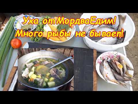 Видео: Много рыбы не бывает. Уха в казане из 5 видов рыб. Рецепт от МордваЕдим