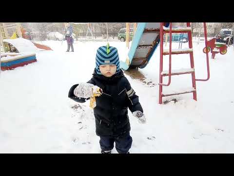 Видео: 2022-12-09 пешая прогулка со Львом в парк Южный.