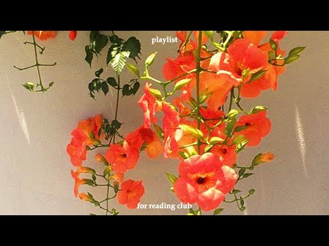 Видео: Плейлист Послесвечение Лета Полностью Оранжевое