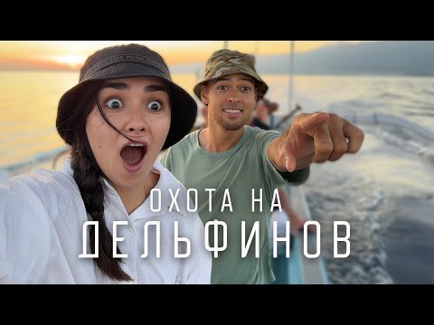 Видео: Север Бали. Дельфины в Ловине. Красивый водопад острова.