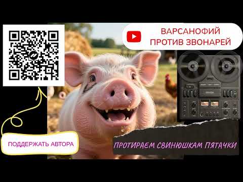 Видео: Протираем свинюшкам пятачки #мошенники