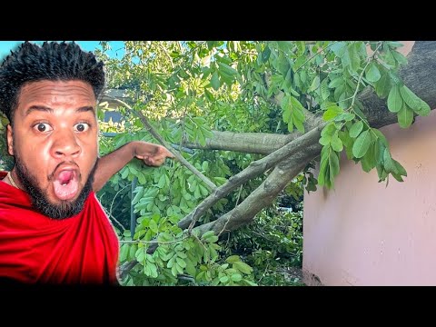 Видео: ⚠️ Ураган Мелисса РАЗРУШИЛ мой дом на Ямайке 😱