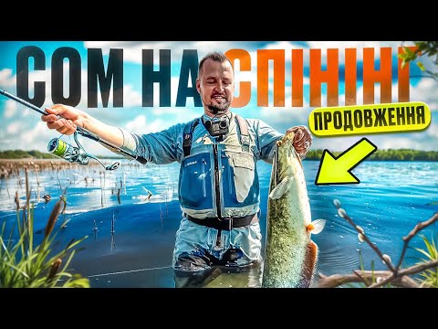 Видео: Сом На Спінінг! На Що Краще Ловити?
