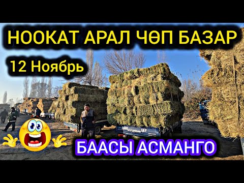 Видео: НООКАТ АРАЛ ЧӨП БАЗАР 👍 БЕДЕ 460 СОМ ДЕЙТКО😱 12 НОЯБРЬ