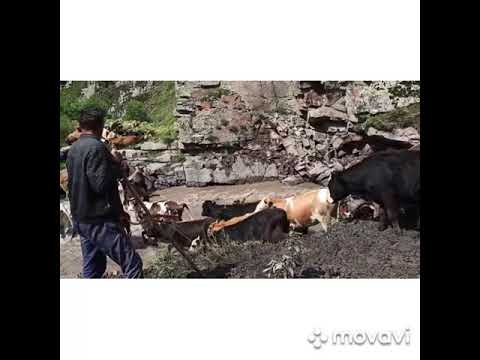 Видео: Верхний Катрух