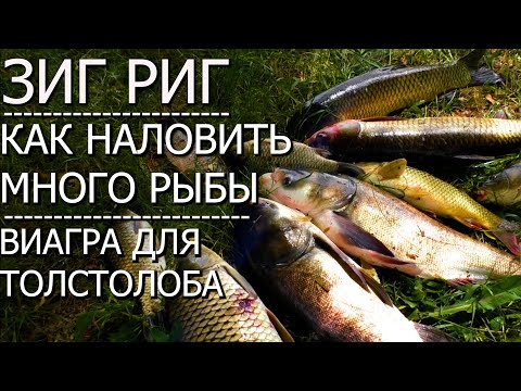 Видео: ЧТО творит этот КОРМ!!! Как наловить много рыбы??ЛОВЛЯ АМУРА И КАРПА НА ЗИГ-РИГ!! 1 ЧAСТЬ