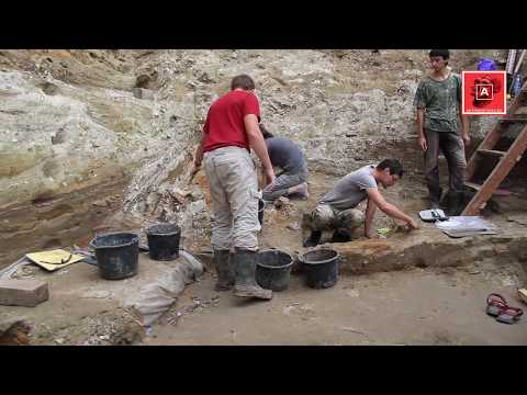 Видео: Экскурсия на раскоп в Хотылёво-I. Копаем неандертальцев