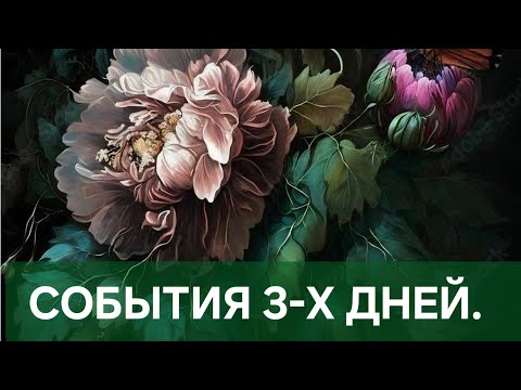 Видео: СОБЫТИЯ 3-Х ДНЕЙ❤️❤️❤️❤️❤️