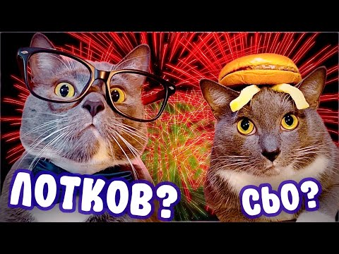 Видео: КОТИКИ В ШКОЛЕ ПРАЗДНУЮТ НОВЫЙ ГОД!