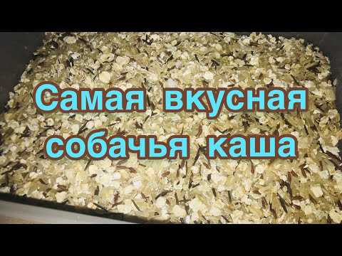 Видео: Самая лучшая каша собакам
