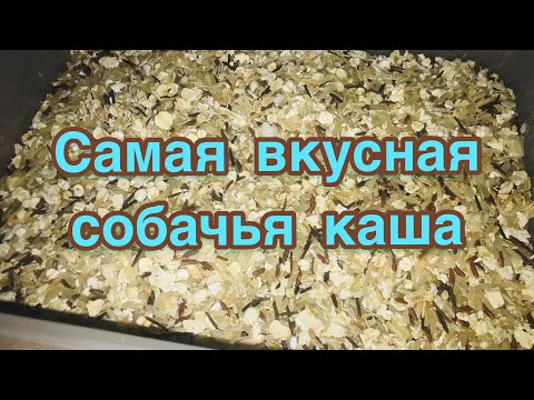 Видео: Самая лучшая каша собакам