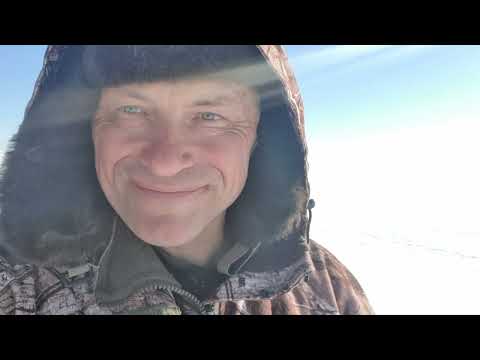 Видео: 10.03.22. Рыбалка Зеленогорск. Корюшка. Судак.