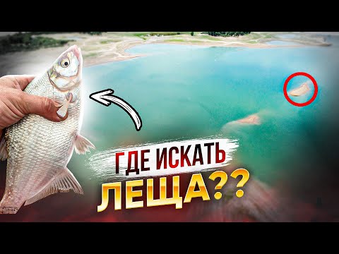 Видео: ЛОВЛЯ ЛЕЩА НА ФИДЕР  ЭТО ВОДОХРАНИЛИЩЕ ВСЕГДА УДИВЛЯЕТ!!!