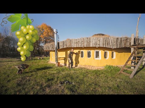 Видео: Виноград возле южной стены дома