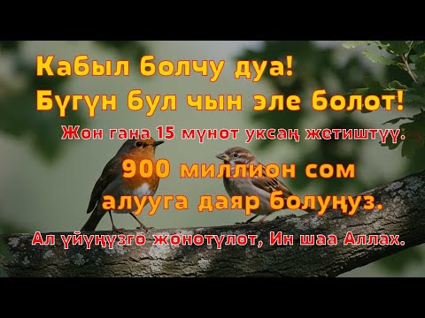 Видео: Керемет дуба! Акча үзгүлтүксүз агып, карыздар жок болуп, бакыттуу өмүр келет!!! - 99