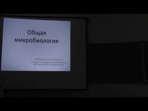 Видео: Микробиология. Часть 1. Звонарева Е. С. 05.11.2014 edit
