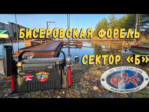 Видео: Бисеровская форель на безлимите