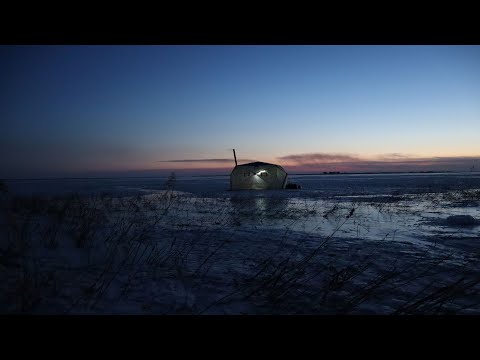 Видео: Оз. Чаны, Конец Апреля (Остров Шипягин) Клевая Рыбалка!!! #рыбалкаскомфортом