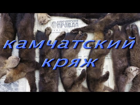 Видео: Камчатский кряж