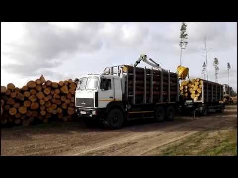 Видео: маз... гроза бездорожья...