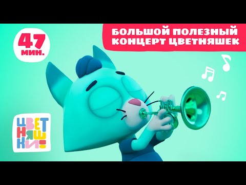 Видео: Цветняшки  — Большой полезный концерт Цветняшек — Музыкальный сборник — Лучшие песенки подряд