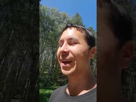 Видео: РОДОВЫЕ БЕСЫ!? Александр Пичуев