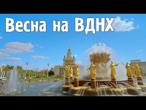 Видео: Весна на ВДНХ глазами FPV дрона