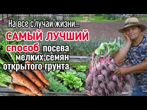 Видео: Сею #МОРКОВЬ, #СВЕКЛА, #ЗЕЛЕНЬ, #САЛАТЫ и #ПРЯНЫЕТРАВЫ только ТАК, и #УРОЖАЙ СОБИРАЮ МЕШКАМИ!