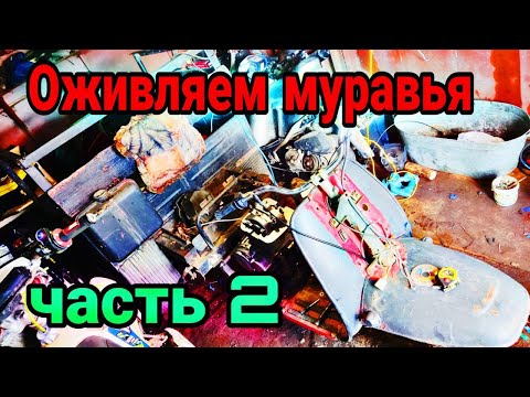 Видео: Оживляем муравья Часть 2