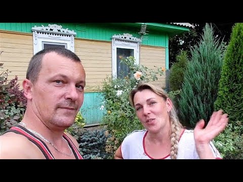 Видео: Важное дело СДЕЛАНО, все довольны, переходим к следующему.