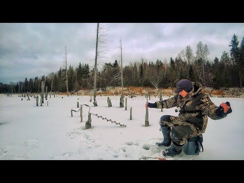 Видео: В ЗАТОПЛЕННЫЙ ЛЕС С БЕЗМОТЫЛКОЙ! ПЕРВЫЙ ЛЁД