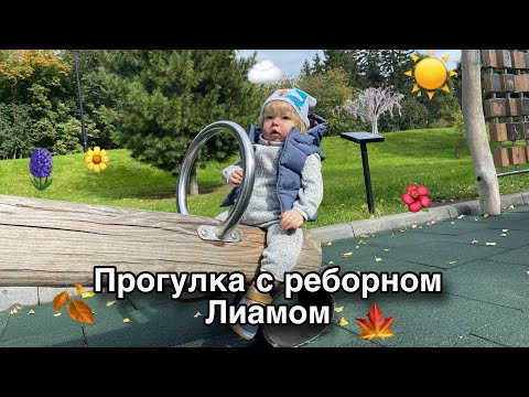 Видео: Прогулка с реборном Лиамом❤️Реборн Лиам играет на детской площадке 🤪/ Vlog with reborn doll 
