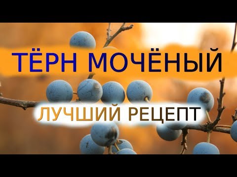 Видео: МОЧЕНЫЙ ТЕРН, РЕЦЕПТ Как Приготовить На Зиму