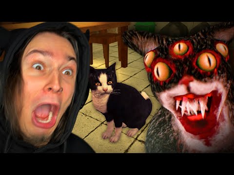 Видео: МОЙ ПИТОМЕЦ КОТИК ВЕДЁТ СЕБЯ СТРАННО!!! (Cat Fred Evil Pet)