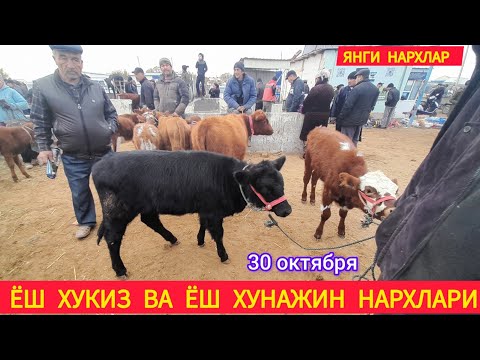 Видео: ЁШ ХУКИЗ ВА ЁШ ХУНАЖИН НАРХЛАРИ ХОРАЗМ БОГОТ МОЛ БОЗОРИ 30 ОКТЯБРЯ 2024.Г