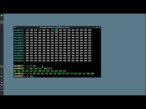 Видео: как написать Hello, World! на двоичном коде (GovnBin)