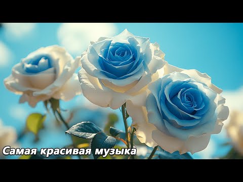 Видео: Осень снова здесь 🌿Я могу слушать эту музыку вечно 3 часа🌿Волшебная музыка Сергея Грищука