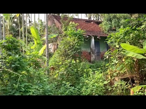 Видео: Уборка заброшенного дома за 50 лет, стрижка газона, эффектная трансформация