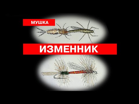 Видео: Мушка "Вылупляющийся Ренегат" / Hatching Renegade