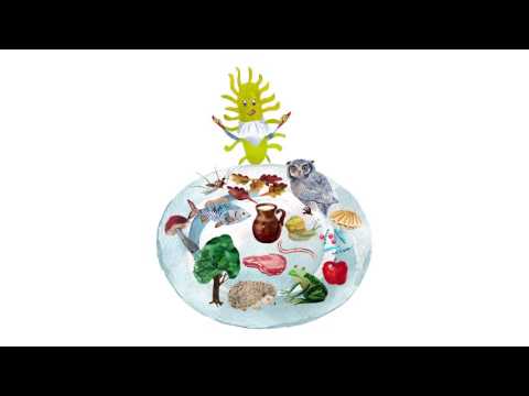 Видео: 36. Знакомство с бактериями