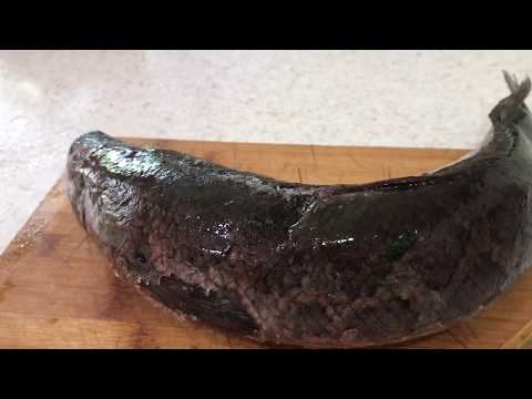 Видео: 753. Змееголов жаренный. Быстрый ужин из вкусной рыбы.