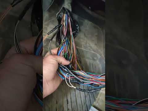 Видео: 13 июля 2023 г.