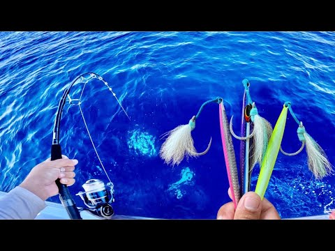 Видео: ВЫСОКОСКОРОСТНАЯ ЛОВЛЯ НА БРЕНДИНГ ДЛЯ ЛОВКИ ТУНЦА НА ЛОВЛЮ ДОБРОНХЛЕБА.