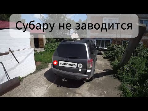 Видео: Вот это совпадение!