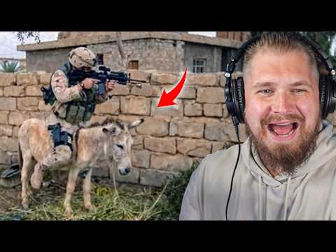 Видео: Солдаты снова делают глупости